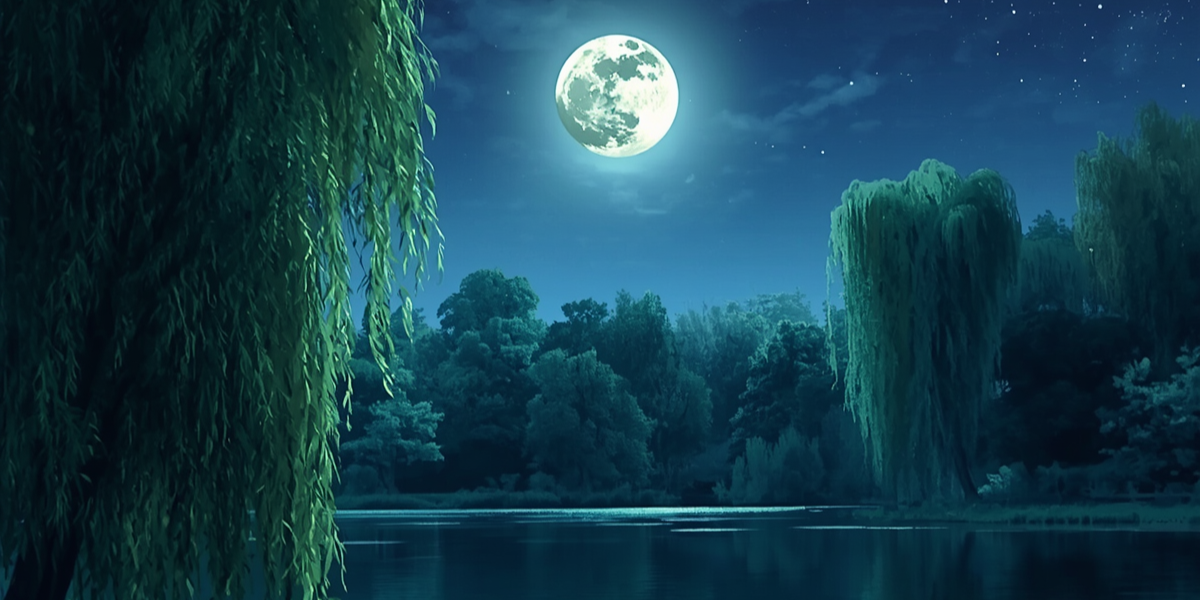 La luna y la naturaleza, el vínculo invisible que mueve la vida en la Tierra